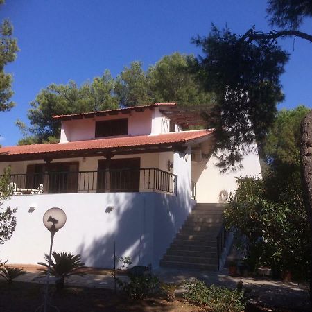 Seaside Villa In Alikes, Chalkida Drosiá Exterior foto